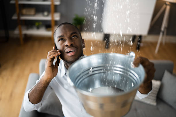 Best Residential water damage restoration  in Port Labelle, FL