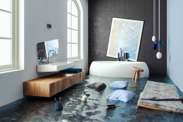 Best Ceiling water damage repair  in Port Labelle, FL