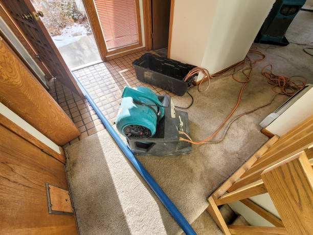 Best Water damage restoration cost  in Port Labelle, FL