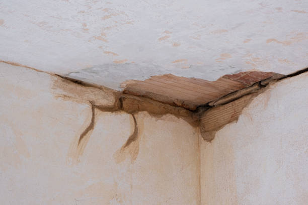 Best Flood restoration services  in Port Labelle, FL