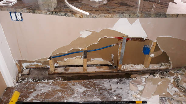 Best Residential water damage restoration  in Port Labelle, FL
