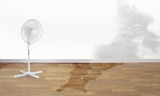 Best 24-hour water damage restoration  in Port Labelle, FL
