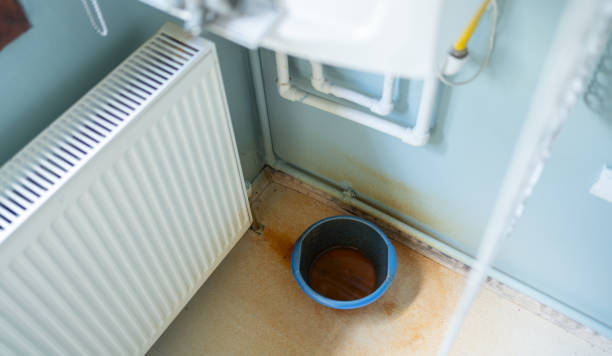Best Sewage cleanup and water damage restoration  in Port Labelle, FL
