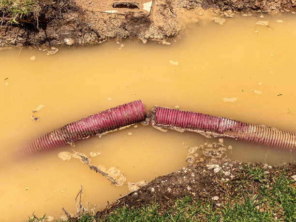 Best Water damage contractors near me  in Port Labelle, FL